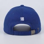 HRFY Cap